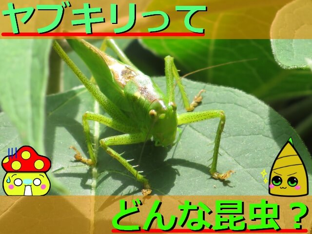 Thumbnail of post image 122